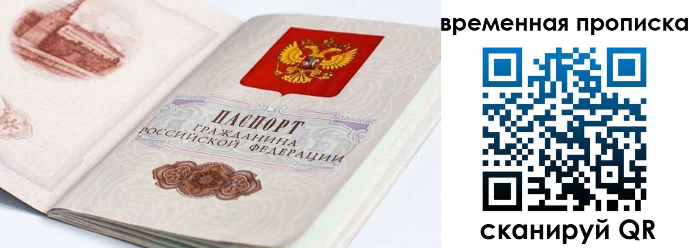 прописка 2025 в Видном